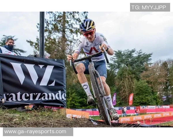 韩国与阿尔及利亚世界杯黑球之战的精彩回顾与分析